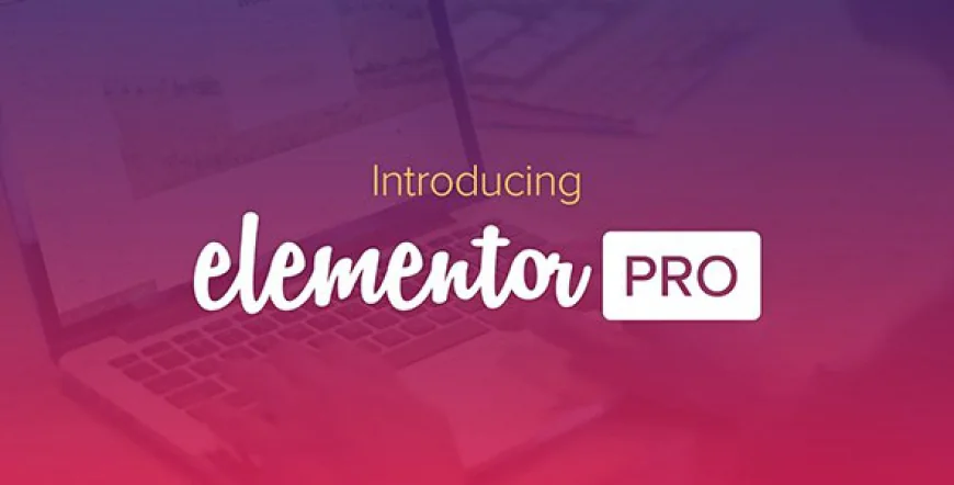 Elementor Pro v3.28.0 - The Most Advanced Website Builder Plugin